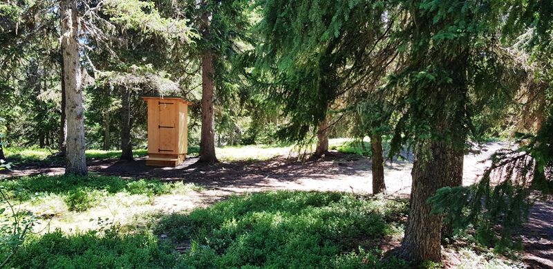 La toilette Alpage est au loin dans la forêt de sapin