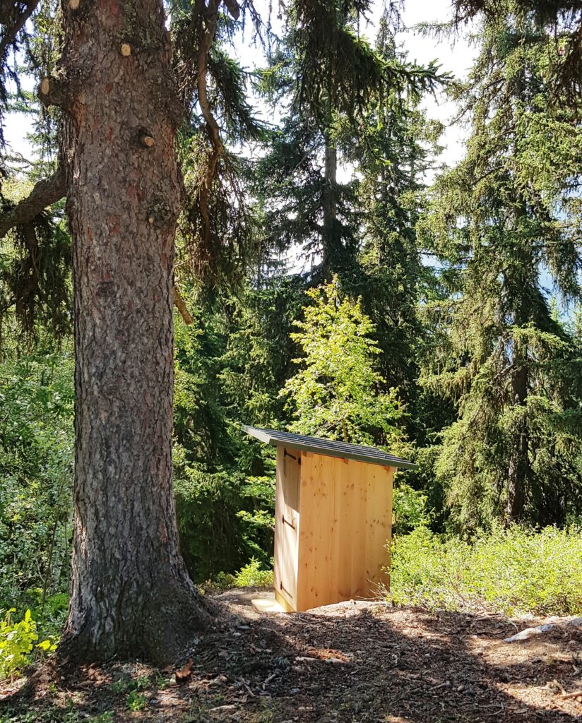 La toilette Alpage est posée au pied d'un grand sapin